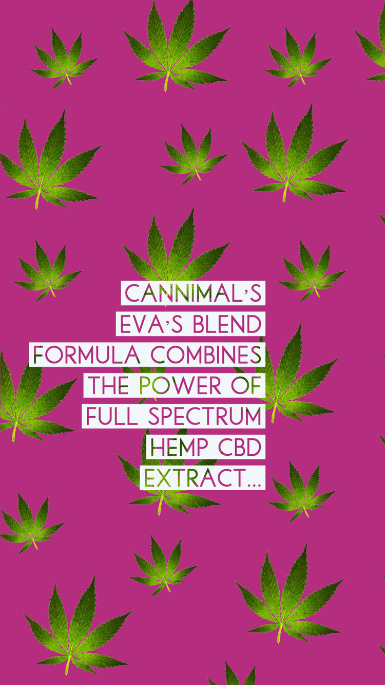 
                  
                    Bright pink background with green hemp leaves, text reading 'Cannimal's Eva's Blend Formula combines the power of Full Spectrum Hemp CBD Extract.
                  
                