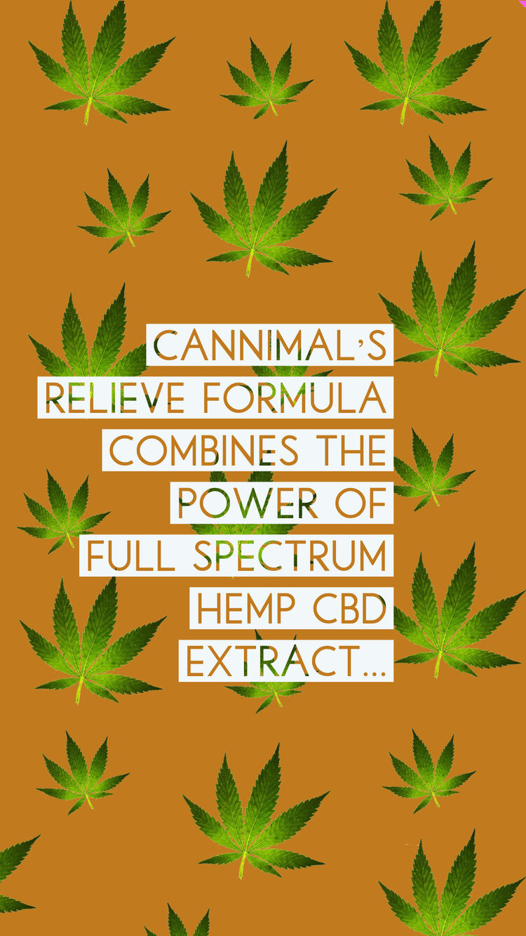 
                  
                    Cannimal's Relieve Formula combines the power of full-spectrum hemp CBD extract with a bright orange background and green hemp leaves.
                  
                