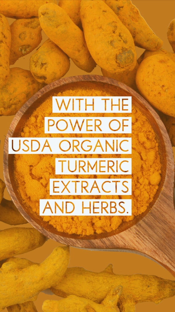 
                  
                    Close-up image of USDA organic turmeric extracts in a wooden spoon, highlighting the power of turmeric herbs in Cannimal's products for pets.
                  
                